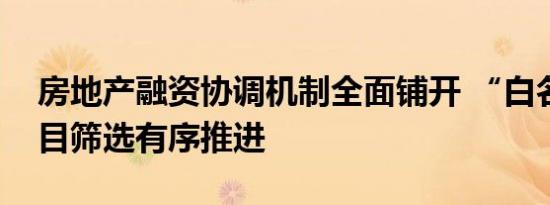 房地产融资协调机制全面铺开 “白名单”项目筛选有序推进