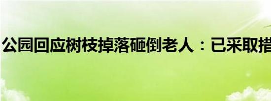 公园回应树枝掉落砸倒老人：已采取措施排危