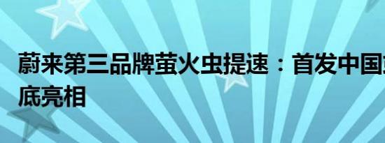 蔚来第三品牌萤火虫提速：首发中国或今年年底亮相