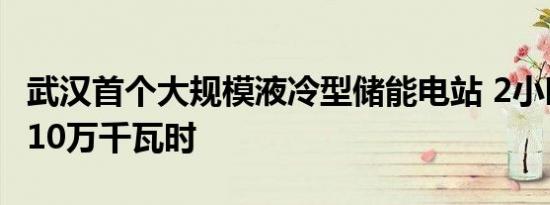 武汉首个大规模液冷型储能电站 2小时可充电10万千瓦时