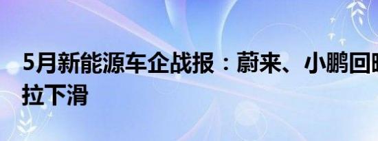 5月新能源车企战报：蔚来、小鹏回暖，特斯拉下滑