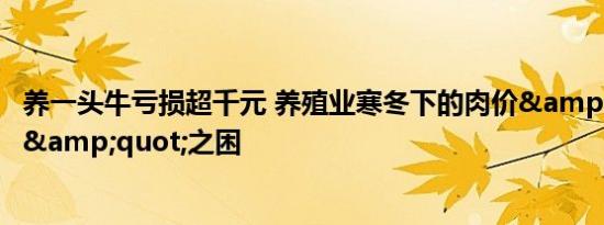 养一头牛亏损超千元 养殖业寒冬下的肉价&quot;跳水&quot;之困