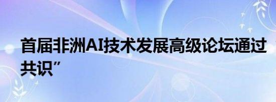 首届非洲AI技术发展高级论坛通过“拉巴特共识”