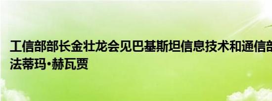 工信部部长金壮龙会见巴基斯坦信息技术和通信部部长莎萨·法蒂玛·赫瓦贾