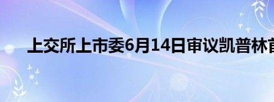 上交所上市委6月14日审议凯普林首发