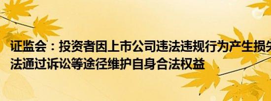 证监会：投资者因上市公司违法违规行为产生损失的 支持依法通过诉讼等途径维护自身合法权益