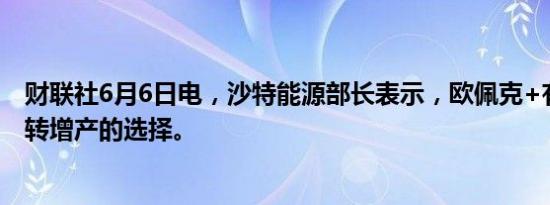 财联社6月6日电，沙特能源部长表示，欧佩克+有暂停或逆转增产的选择。