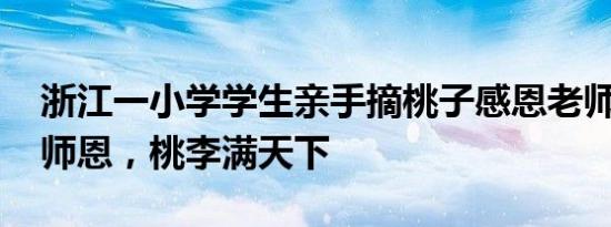 浙江一小学学生亲手摘桃子感恩老师 诚挚谢师恩，桃李满天下