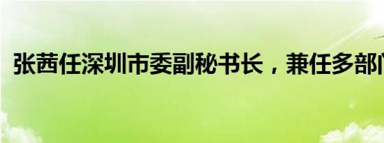 张茜任深圳市委副秘书长，兼任多部门要职