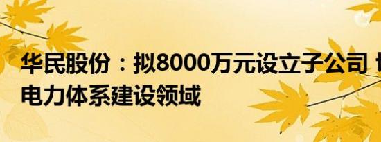 华民股份：拟8000万元设立子公司 切入新型电力体系建设领域