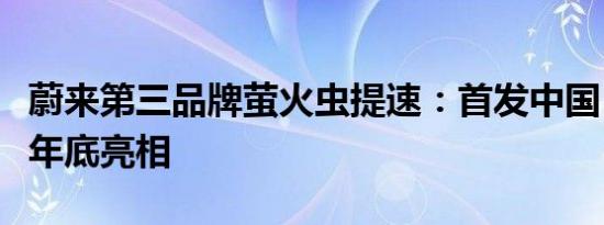 蔚来第三品牌萤火虫提速：首发中国，或今年年底亮相