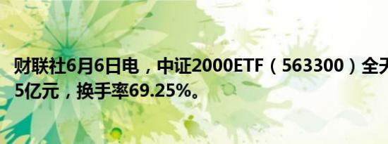 财联社6月6日电，中证2000ETF（563300）全天成交额5.95亿元，换手率69.25%。