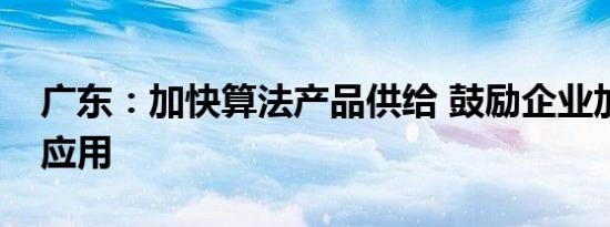 广东：加快算法产品供给 鼓励企业加大算法应用