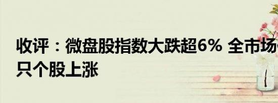 收评：微盘股指数大跌超6% 全市场仅500余只个股上涨