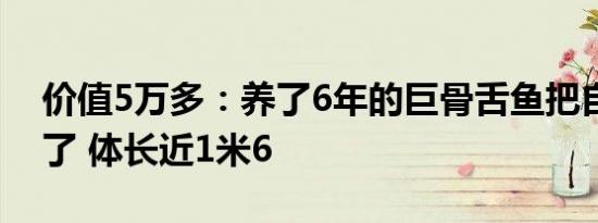 价值5万多：养了6年的巨骨舌鱼把自己摔死了 体长近1米6