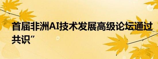 首届非洲AI技术发展高级论坛通过“拉巴特共识”