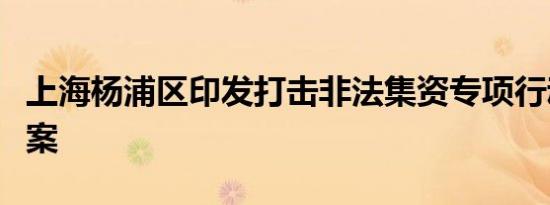 上海杨浦区印发打击非法集资专项行动实施方案