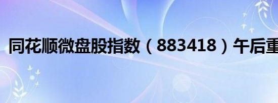 同花顺微盘股指数（883418）午后重挫7%