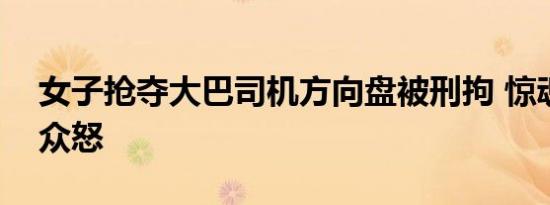 女子抢夺大巴司机方向盘被刑拘 惊魂一幕引众怒