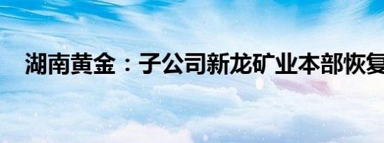 湖南黄金：子公司新龙矿业本部恢复生产