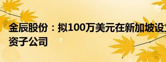 金辰股份：拟100万美元在新加坡设立境外全资子公司