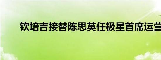 钦培吉接替陈思英任极星首席运营官