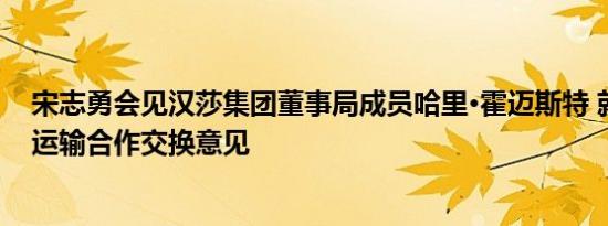 宋志勇会见汉莎集团董事局成员哈里·霍迈斯特 就加强航空运输合作交换意见