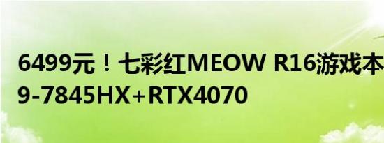 6499元！七彩红MEOW R16游戏本发布：R9-7845HX+RTX4070