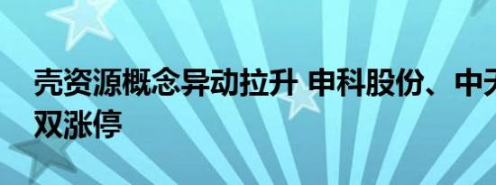 壳资源概念异动拉升 申科股份、中天服务双双涨停