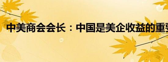 中美商会会长：中国是美企收益的重要市场