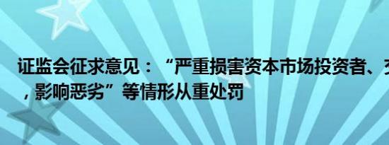 证监会征求意见：“严重损害资本市场投资者、交易者权益，影响恶劣”等情形从重处罚