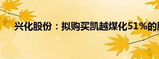 兴化股份：拟购买凯越煤化51%的股权