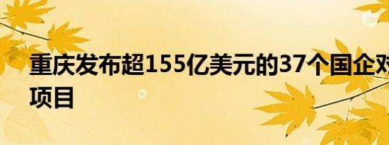 重庆发布超155亿美元的37个国企对外合作项目