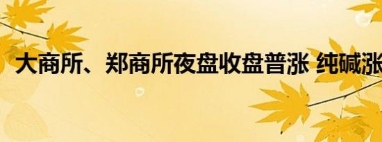 大商所、郑商所夜盘收盘普涨 纯碱涨超3%