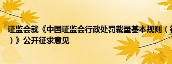 证监会就《中国证监会行政处罚裁量基本规则（征求意见稿）》公开征求意见