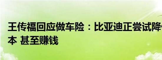 王传福回应做车险：比亚迪正尝试降低保险成本 甚至赚钱