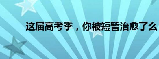 这届高考季，你被短暂治愈了么？