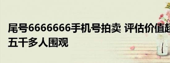 尾号6666666手机号拍卖 评估价值超160万，五千多人围观