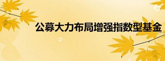 公募大力布局增强指数型基金