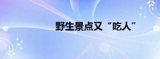 赵继伟观战国足 男篮队长助威绿茵场