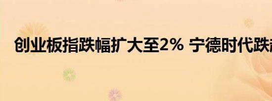 创业板指跌幅扩大至2% 宁德时代跌超6%