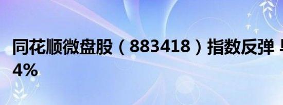 同花顺微盘股（883418）指数反弹 早盘涨超4%