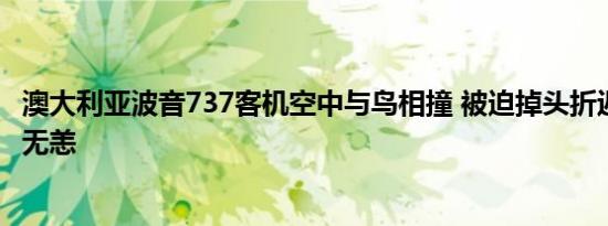 澳大利亚波音737客机空中与鸟相撞 被迫掉头折返 乘客安全无恙