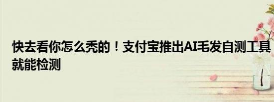 快去看你怎么秃的！支付宝推出AI毛发自测工具：几张照片就能检测