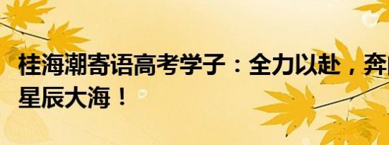 桂海潮寄语高考学子：全力以赴，奔向自己的星辰大海！