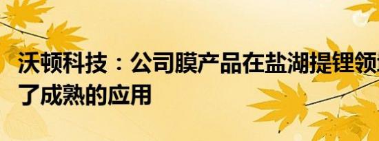 沃顿科技：公司膜产品在盐湖提锂领域已实现了成熟的应用