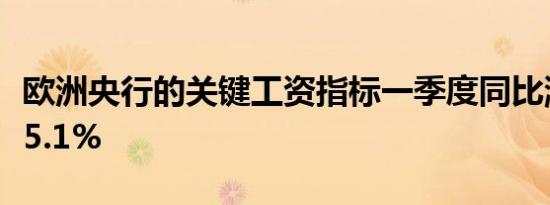 张志磊谦逊评估自己实力：我打乌西克只有30%胜算——拳坛清流显谦逊风范