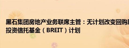 黑石集团房地产业务联席主管：无计划改变回购黑石房地产投资信托基金（BREIT）计划