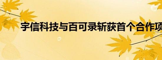 宇信科技与百可录斩获首个合作项目