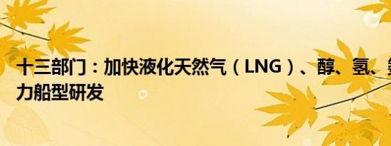 十三部门：加快液化天然气（LNG）、醇、氢、氨等燃料动力船型研发